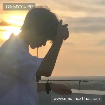 苏柏